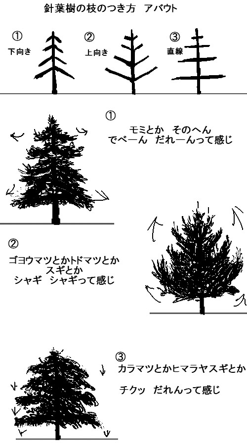 簡単!わかりにくい!針葉樹の描き方