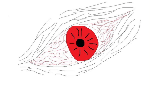 目