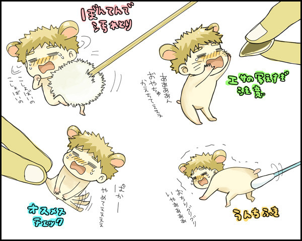 ゴールデンミハムスターその２