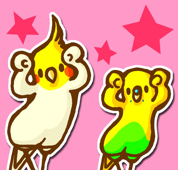 インコもｳｯｰｳｯｰｳﾏｳﾏ(ﾟ∀ﾟ)