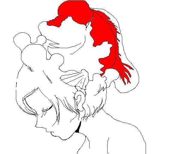 トサカ