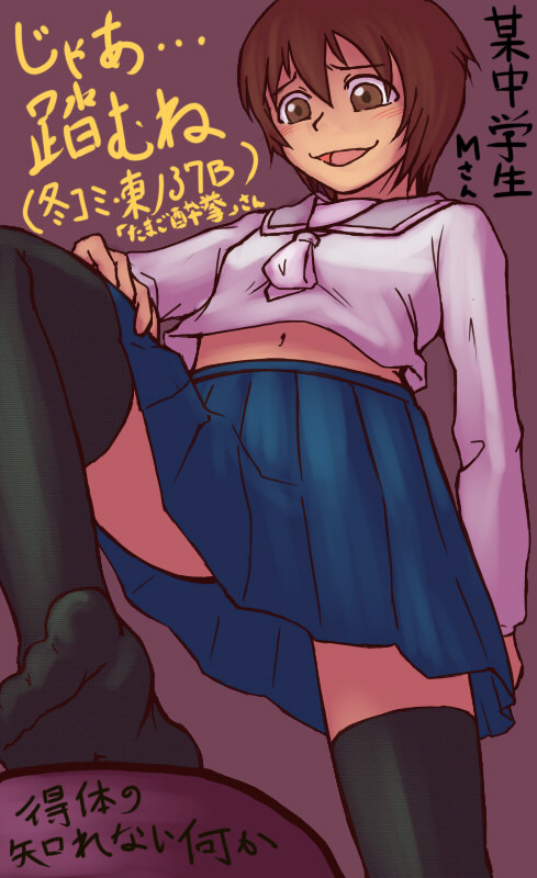 冬コミ、サナギさん