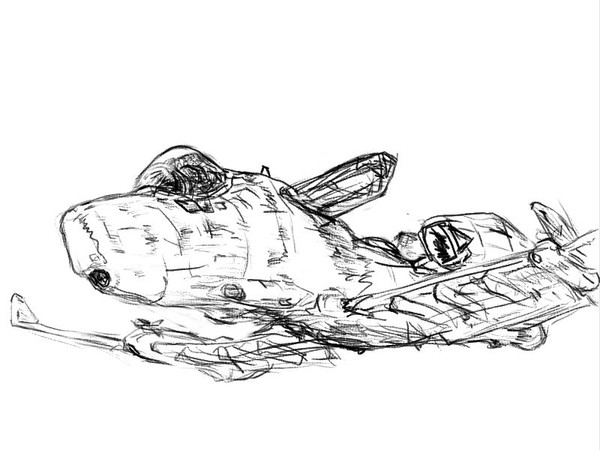 航空機ラフ