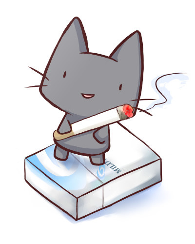 猫一服
