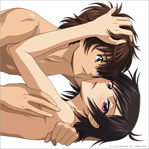 Happy Birthday to Suzaku