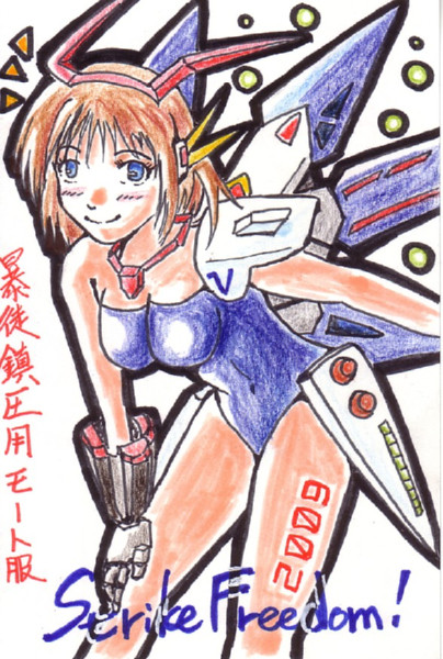 暴徒鎮圧用モート服ストライクフリーダム(color)