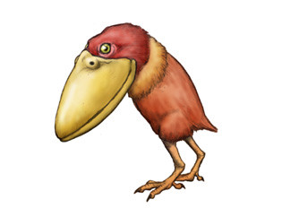 陸鳥・チョコポール
