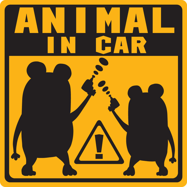 ANIMAL_IN_CAR