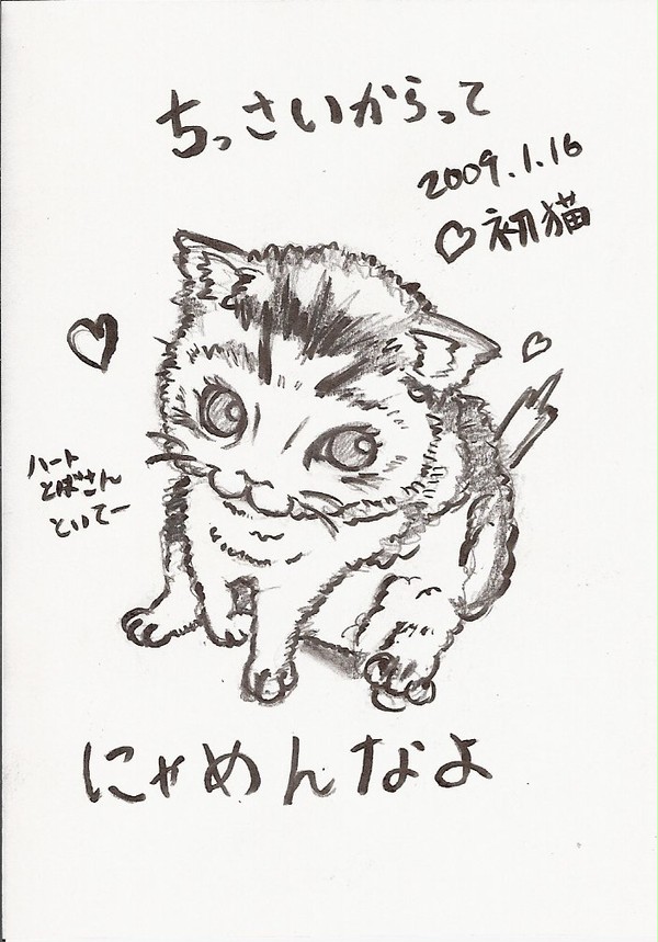 はつねこ