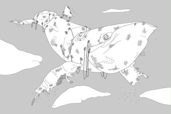発泡鯨