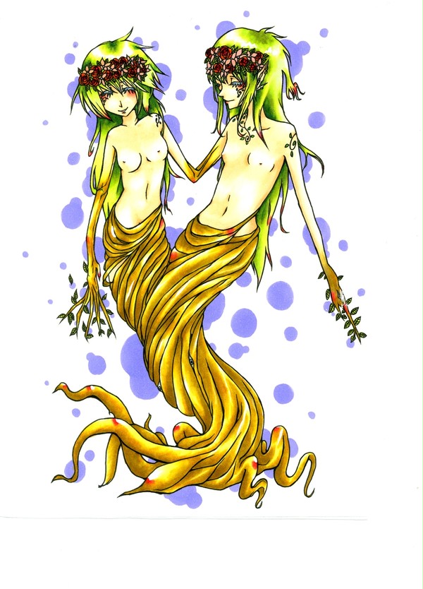 シャム双生樹