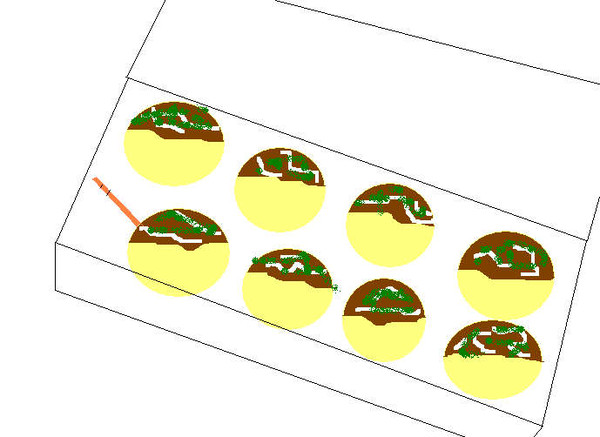 takoyaki