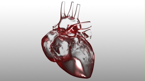 Glass Heart