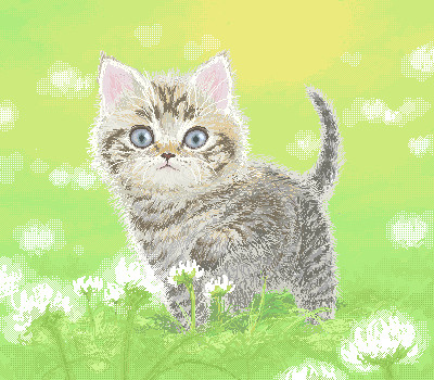 春だにゃぁ