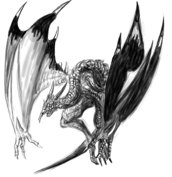 斑鳩竜