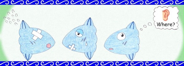見翻車魚　言わ翻車魚　聞か翻車魚