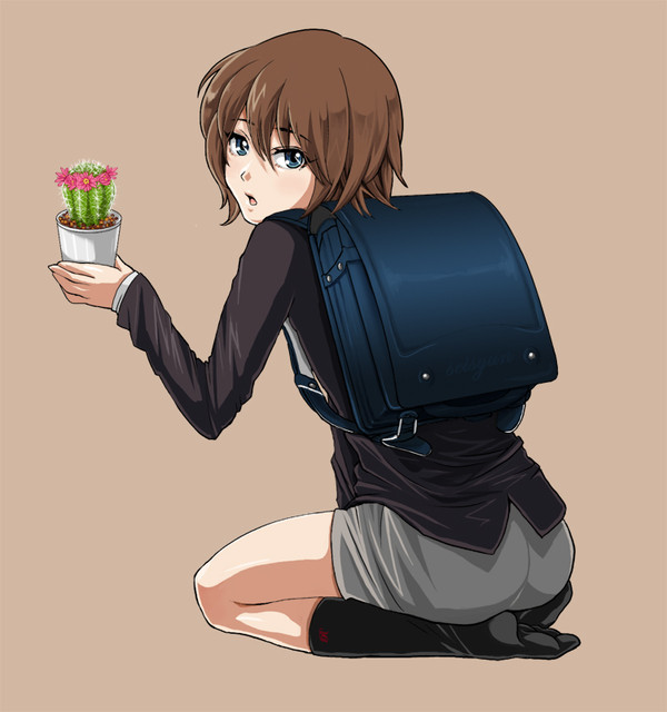 初めてのサボテン