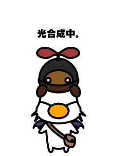 光合成中