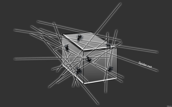 Spider.net