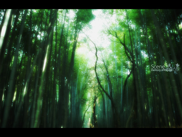 Scene : memory of Kaguya