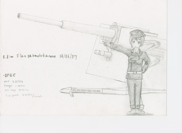 FLAK8.8