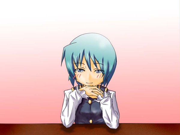 映姫様が見てるだけ
