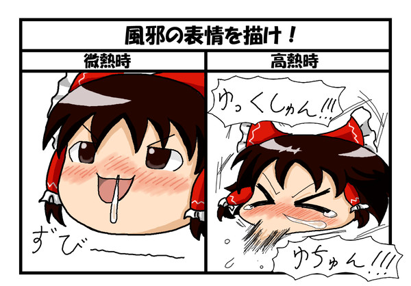 【ぴく風邪】ゆっくりなおすよ！！！