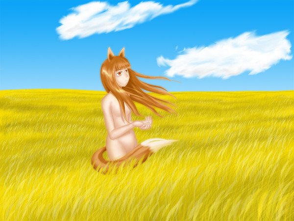 狼が走る