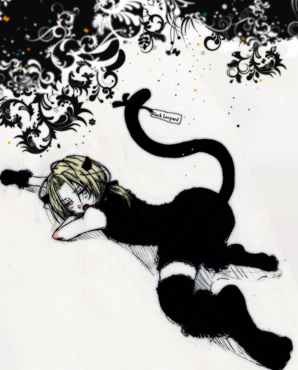黒豹…だと?