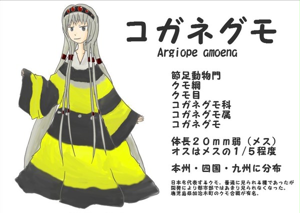 【ぴく虫】コガネグモ