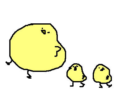 cocco