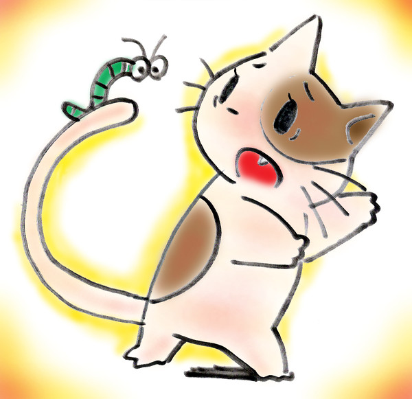 ねこ