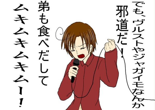 【ヘタリア】 「守れ、こんちくしょーめぇっ!!」
