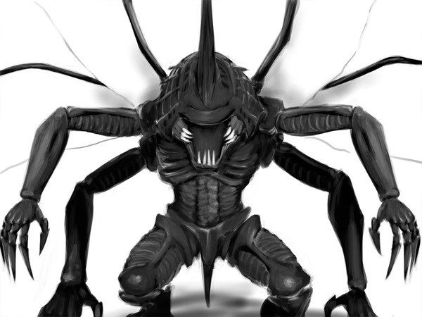 カブトムシ