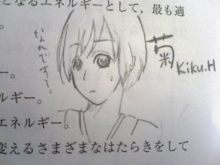 困った顔の菊萌え＞＜//