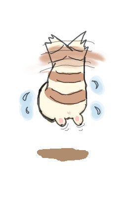 どうやら