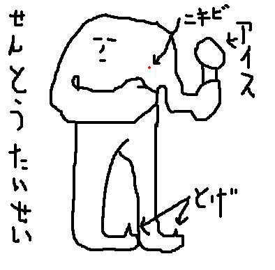 ニャルポック