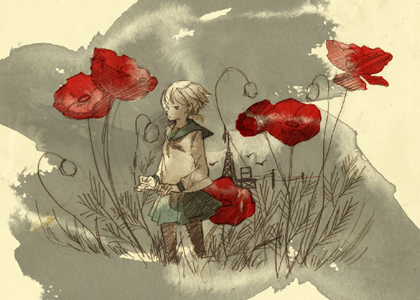 poppy landnea
