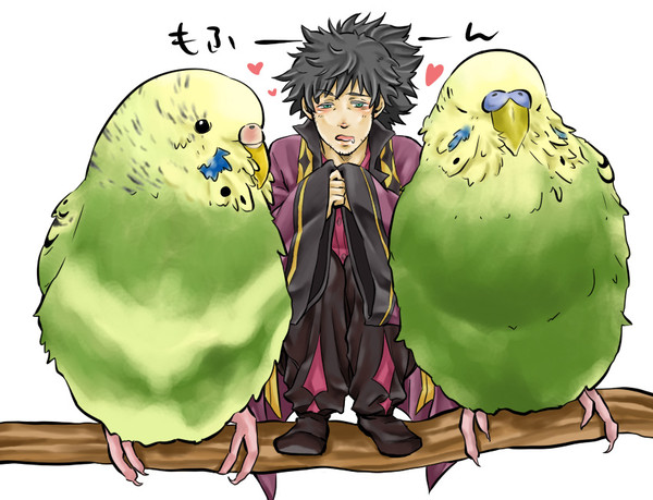 もっふもふにしてやんよ