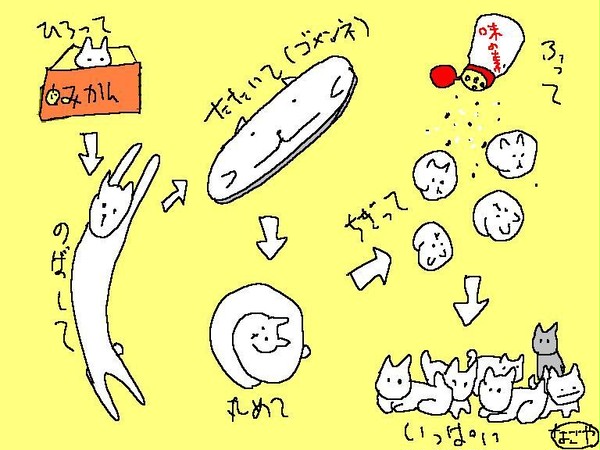 猫のふやしかた。