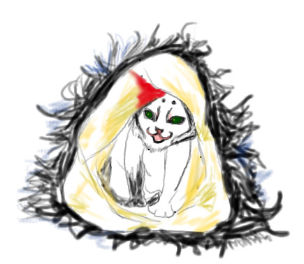 猫
