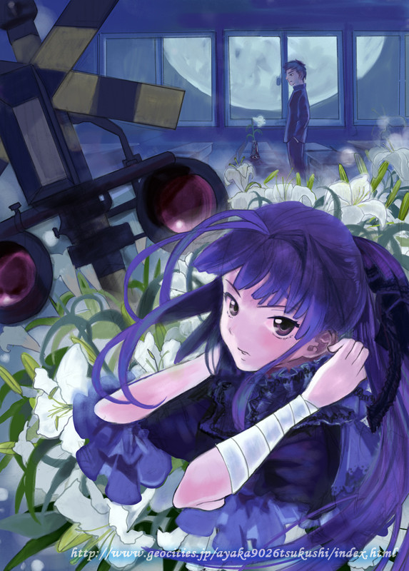 月の夜の