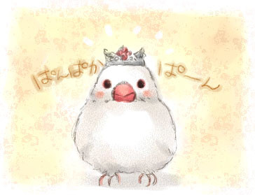 リトルプリンス・オブ・文鳥