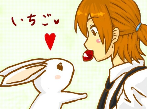 いちご・うさぎ
