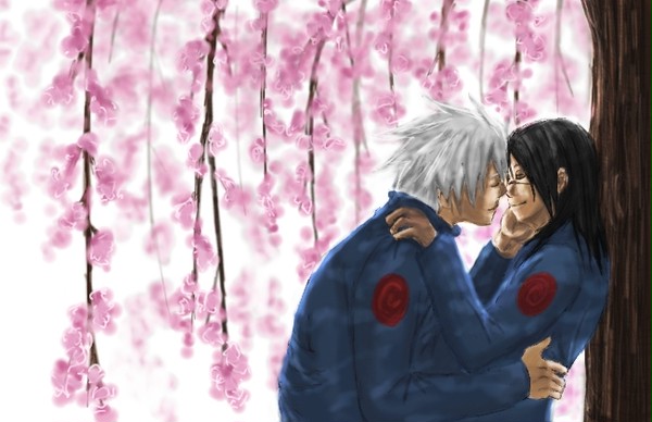 【NARUTO：カカイル】