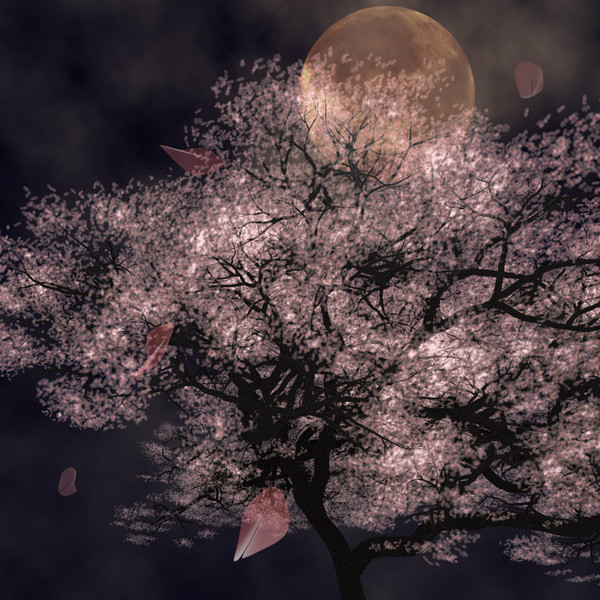 夜桜