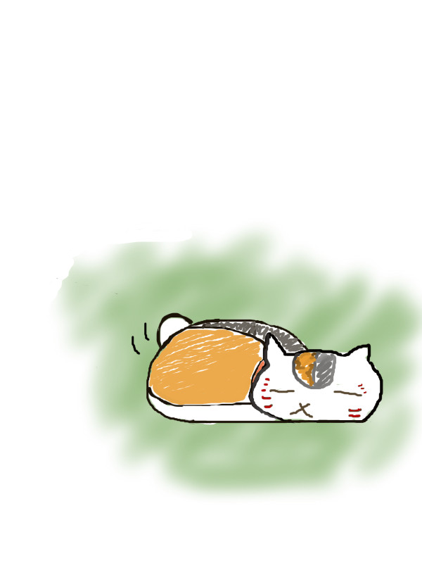 にゃんこ先生