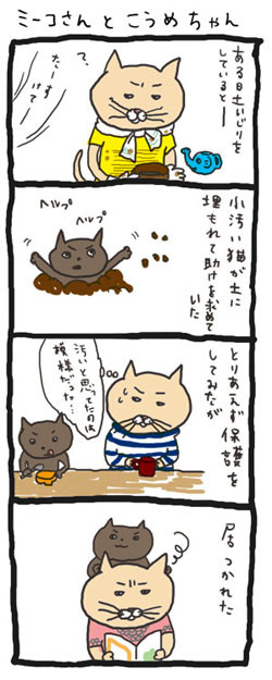 きょうのミーコさん