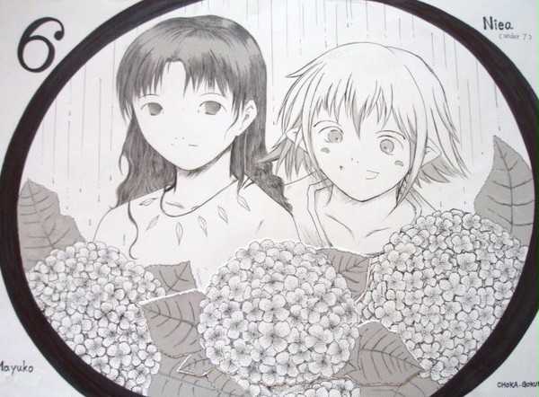 あじさい。