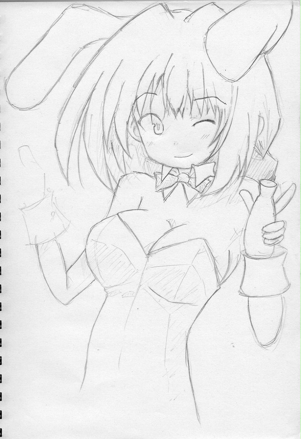 初投稿です